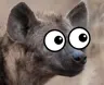 Crimsonwolff's Avatar