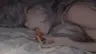 MInnso's Avatar