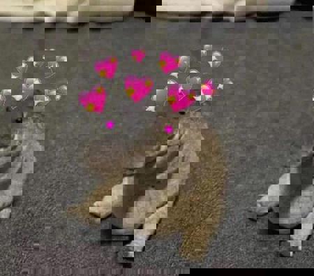 UnknownUser01's Avatar