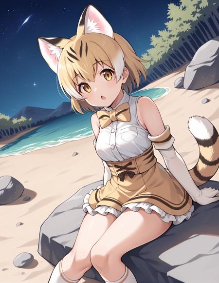 [Request] Sand Cat (Kemono Friends) / SDXL Pony Diffusion v1.0