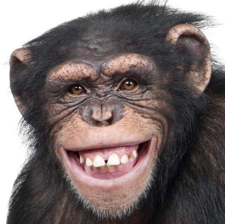 buckham's Avatar