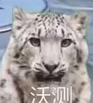 Grievances's Avatar