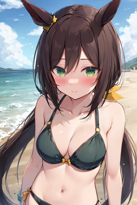 (absurdres:1.30), highres, ultra detailed, <lora:hayakawa_taduna_v2:0.60> hayakawa_taduna, horse girl, horse tail, horse ears, brown hair, long hair, split ponytail, green eyes, yellow ribbon, bikini, BREAK, beach, blush,upper body, looking at viewer, 