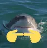s8n84's Avatar