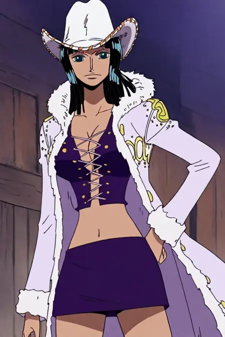 Nico Robin (One piece) pre-timeskip many outfit illustriousXL