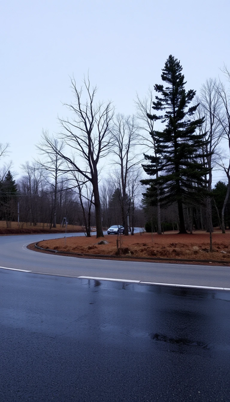 bifurcation 