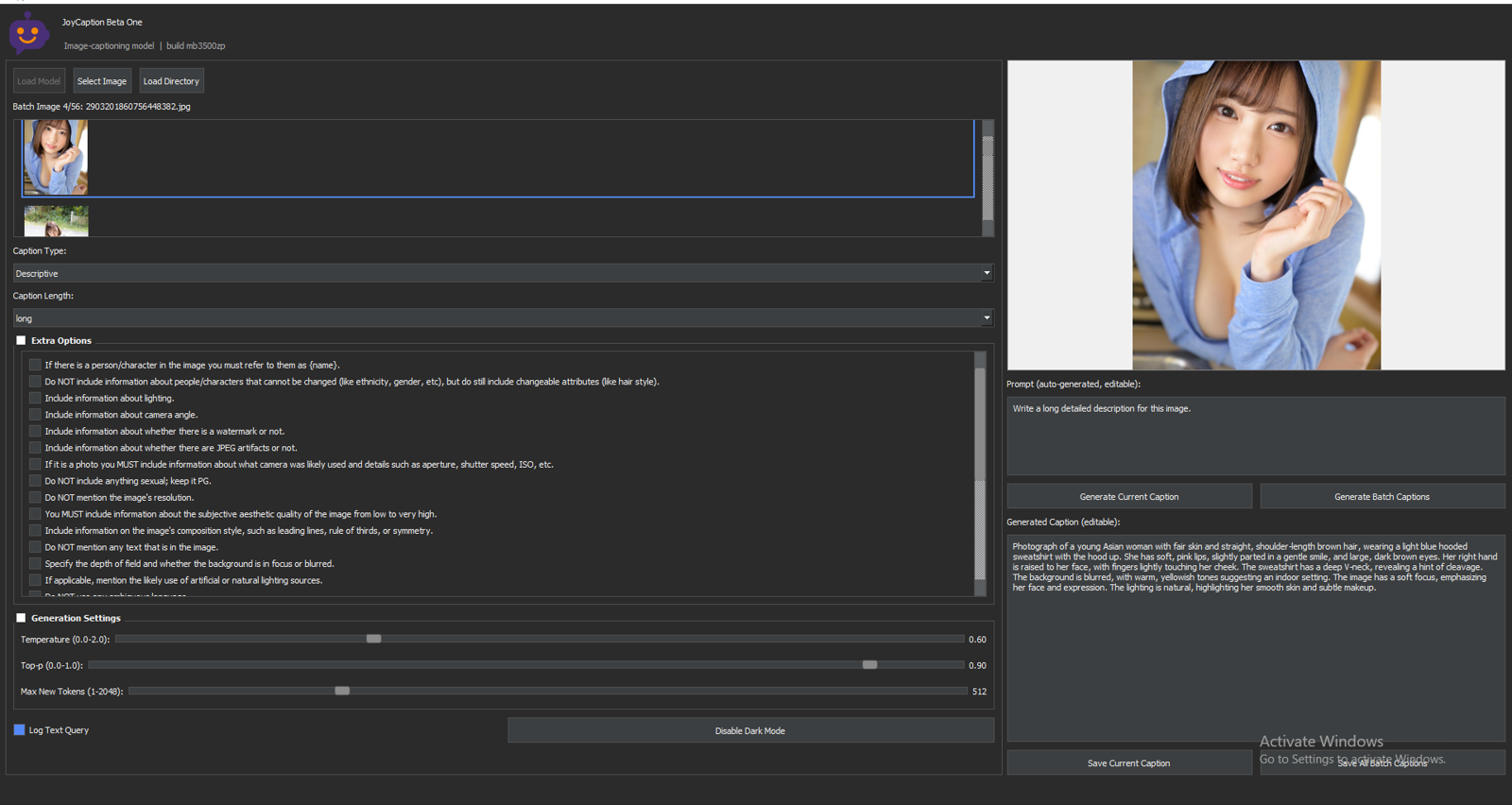 Joy caption beta one GUI