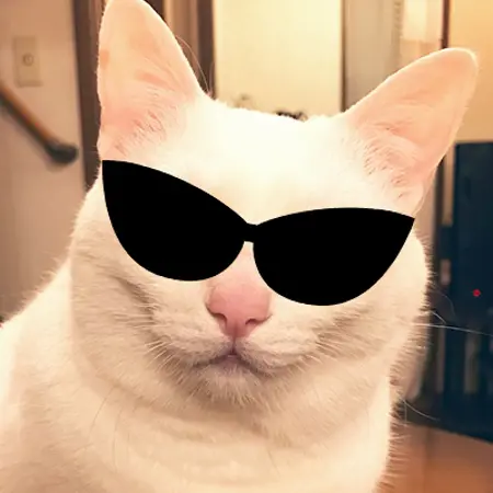 MC_catman's Avatar