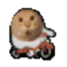 BLACKPIGFLY's Avatar