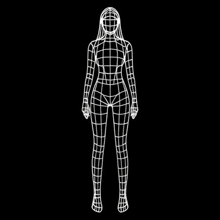 Wireframe - 3D asset - Mesh V1