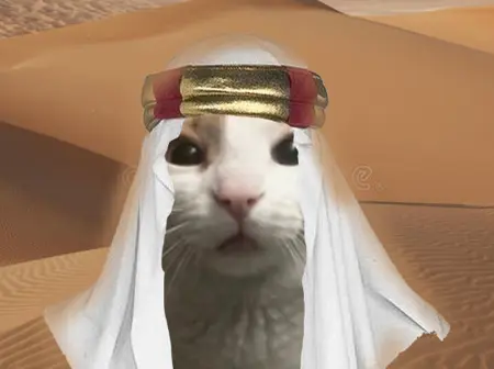 ashaill88's Avatar