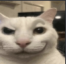 TigerPunch's Avatar