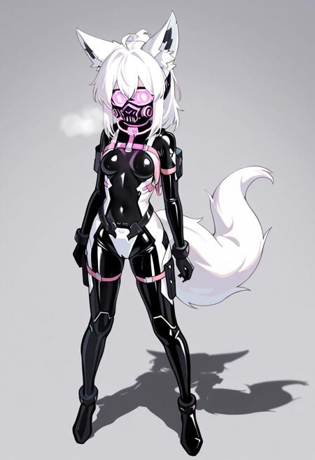 SBRS02 V1
