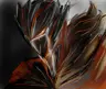 enranime538's Avatar