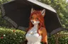 ThEnGi's Avatar