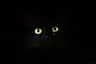strange_stud_ios's Avatar