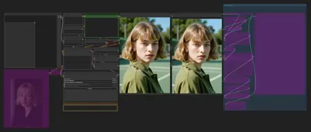 Minimal Flux Workflow