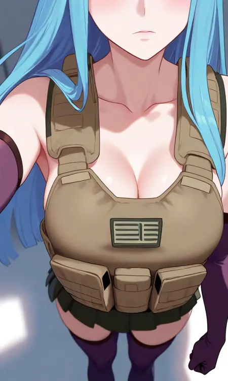 Topless Plate Carrier