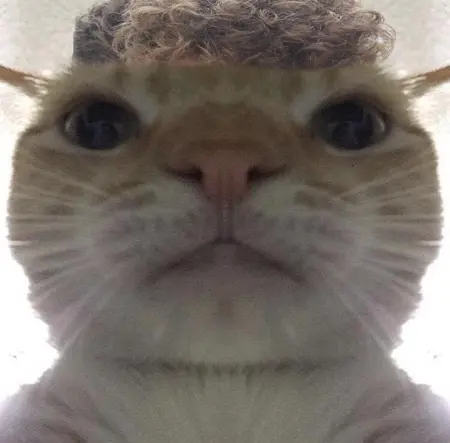 MidFR's Avatar