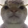 MidFR's Avatar