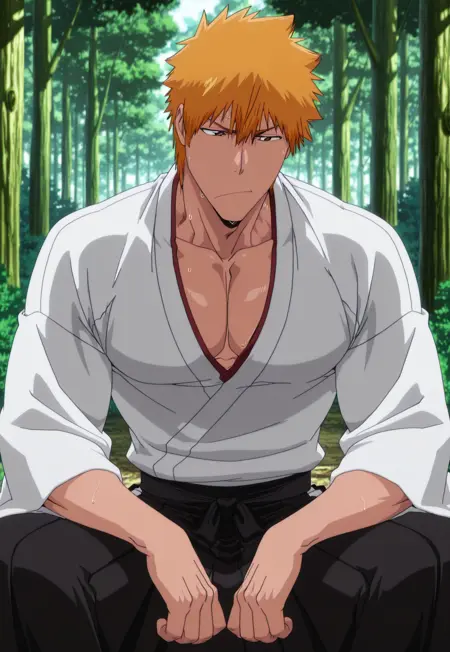 Ichigo Kurosaki [Bleach/IL]