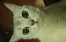 mrcybermoon's Avatar