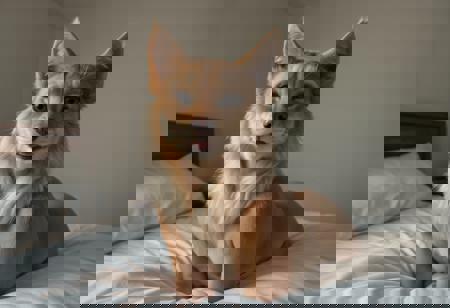 floeki75pad's Avatar