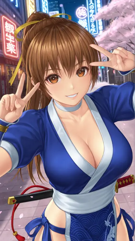 【NoobAI-XL】Kasumi 霞 DOA5LR LoRA ◤Louiswolf_style◢