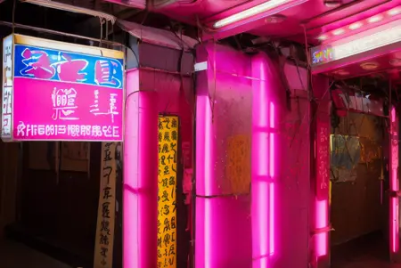 香港の色情按摩店の入口(油麻地付近)/Entrance of Hong Kong(Yau Ma Tei eria) sexual massage parlors.