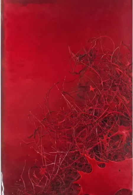 chemigram_colour