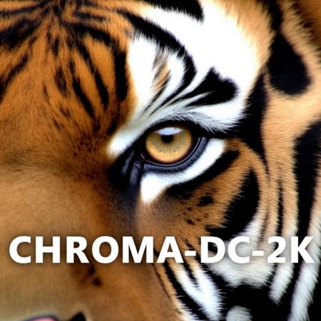 Chroma-Flash-Heun-pruned Rank 08