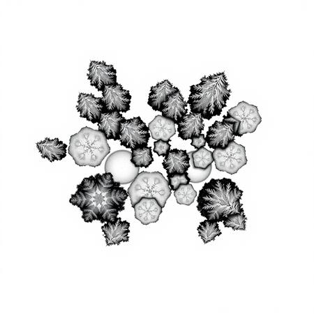 a overhead view of forest treetops, in a black and white lineart style as a tile from a video game tileset, viewed directly from overhead,  2D minimalist style, black and white monochrome color pallete, The overall design is square in shape