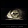 zonhe1983's Avatar