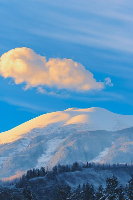 sky, cloud, nature, tree, mountain, forest, contrail, blue sky, sunset
