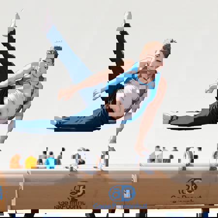 gymnastics Pommel_horse boys v2.0 snr "beta"