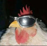pebn