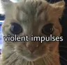 Thatissomenicegreentea's Avatar