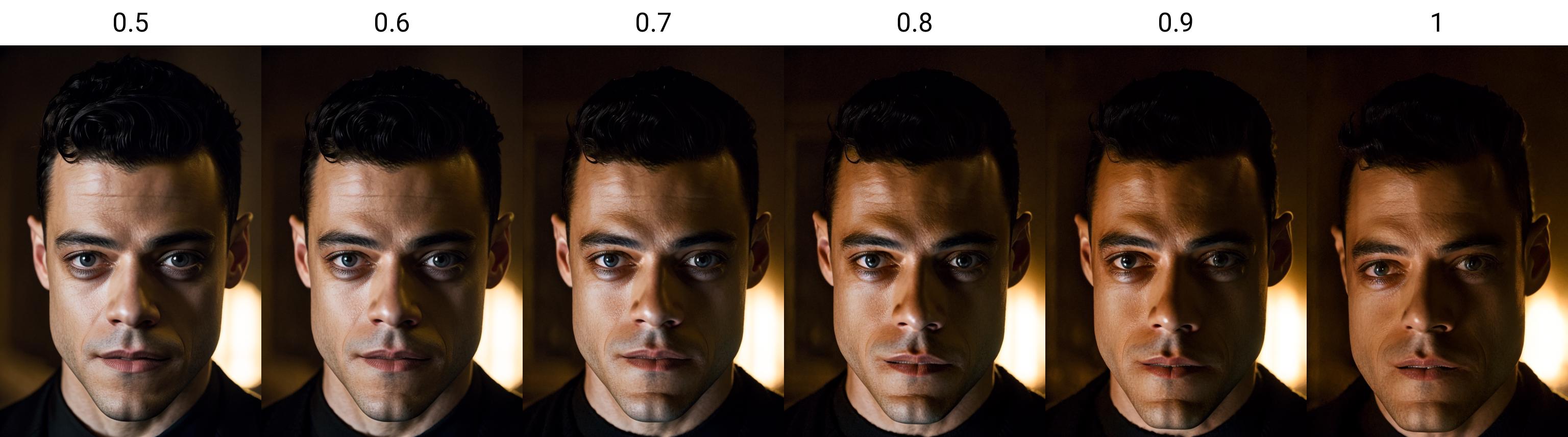 Rami Malek - LoRA image by Rythievakem