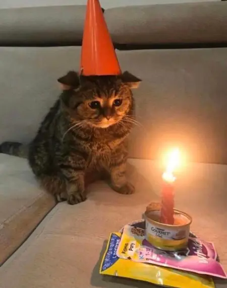 SANLVZHETANG's Avatar