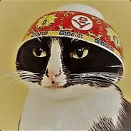 CatCommando's Avatar