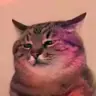 Doodoxing's Avatar