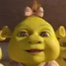 cuteShrek's Avatar