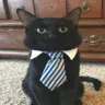 Artngr's Avatar