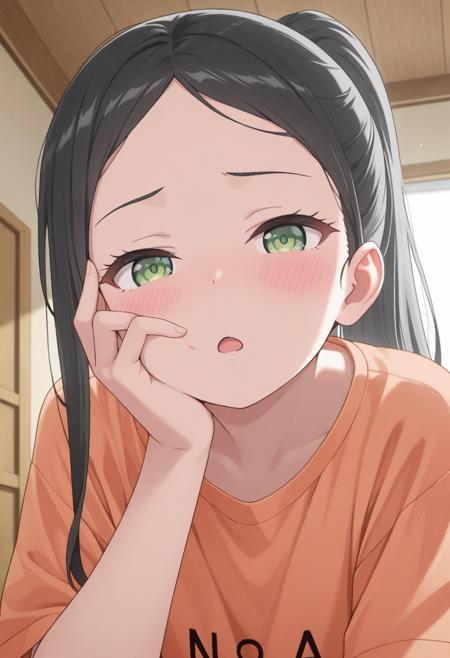 illu_Minakami_Noa-62.safetensors