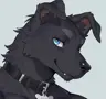 Furry_'s Avatar