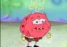 RedSpongeylol's Avatar