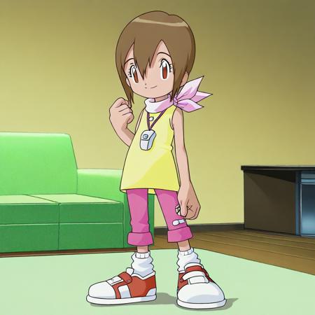 Hikari Yagami | Digimon Adventure [illustrious] V1