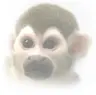 GingkoBiloba's Avatar