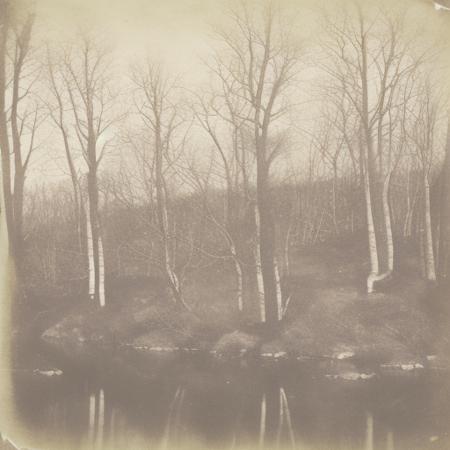 Calotype 1840 V1