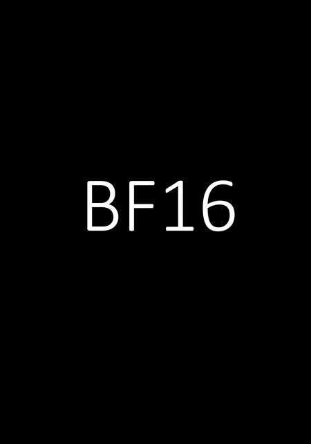 T5xxl Google FLAN from FP32 (CLIP ONLY) BF16